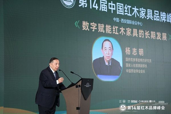 國務(wù)院參事室特邀研究員、國家人社部原副部長、中國勞動(dòng)學(xué)會(huì)會(huì)長楊志明發(fā)表演講